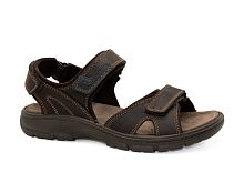 Мужские сандалии IMAC, коричневые